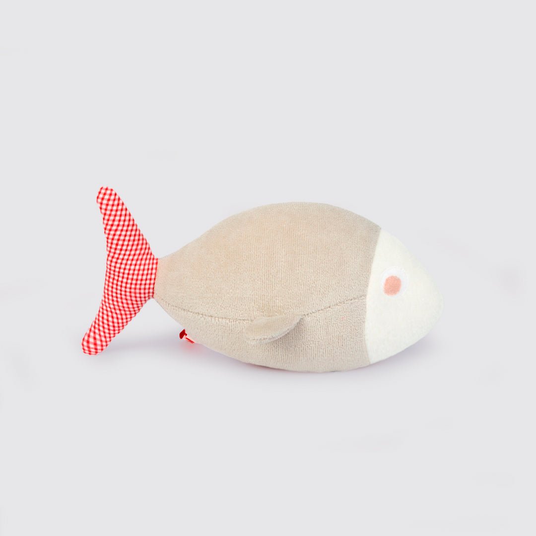 Poissons d'eau douce - Pack de 4 - ADADA