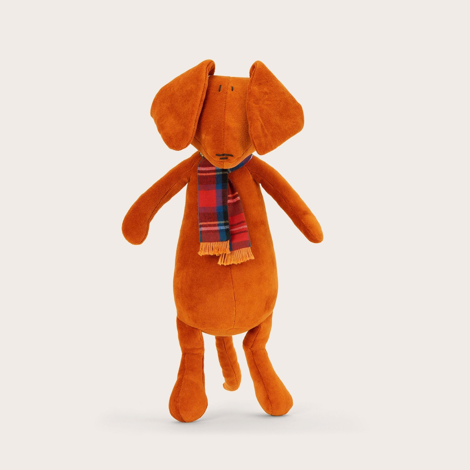 Scott, le teckel - petit - ADADA Tabac Vert rouge