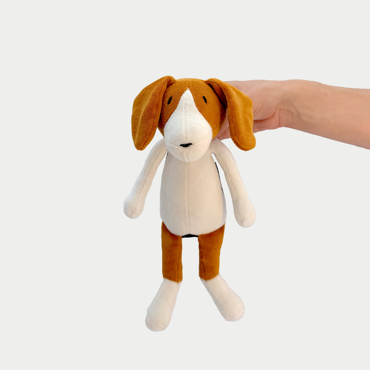 BARRY DER BEAGLE – S