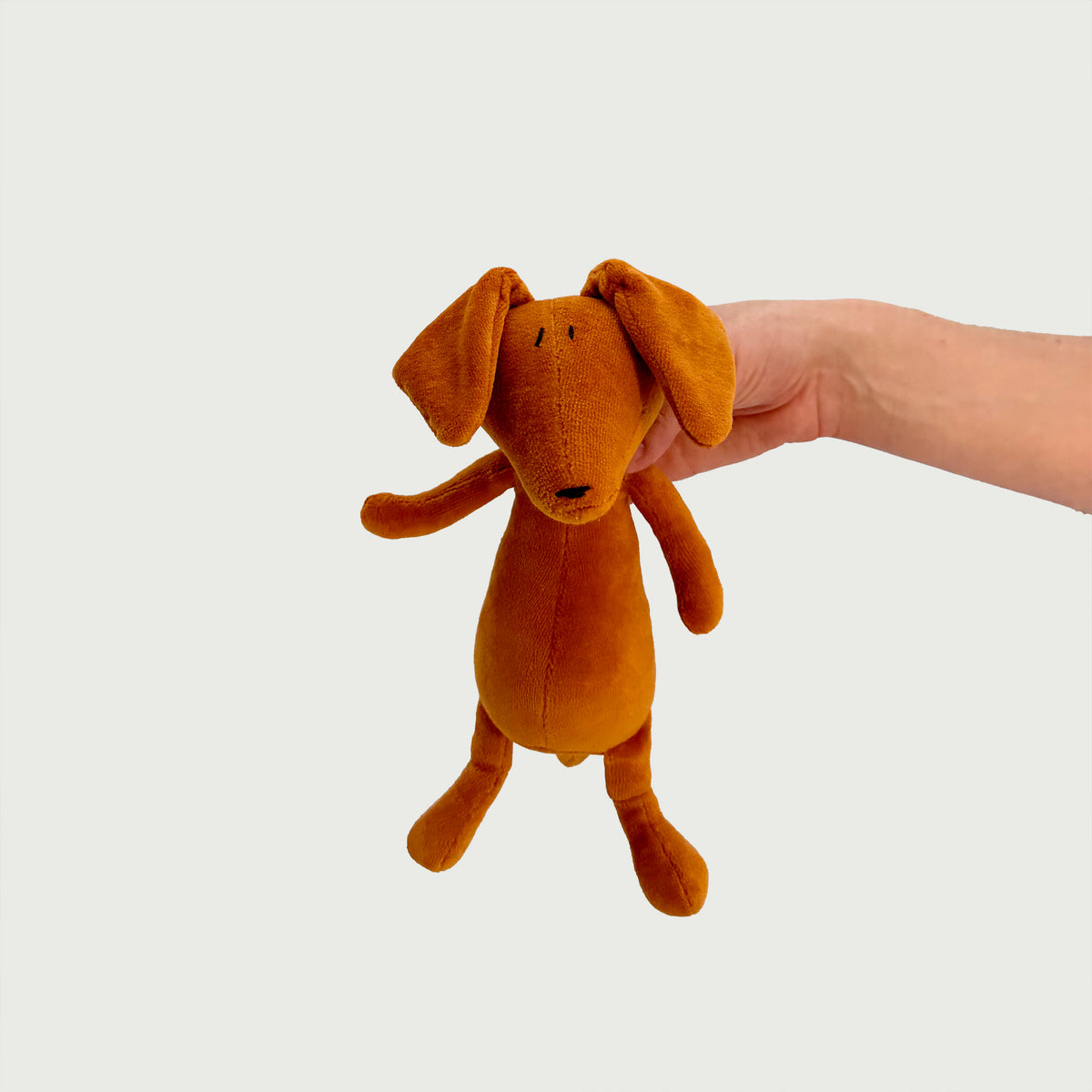 SCOTT IL DACHSHUND - S