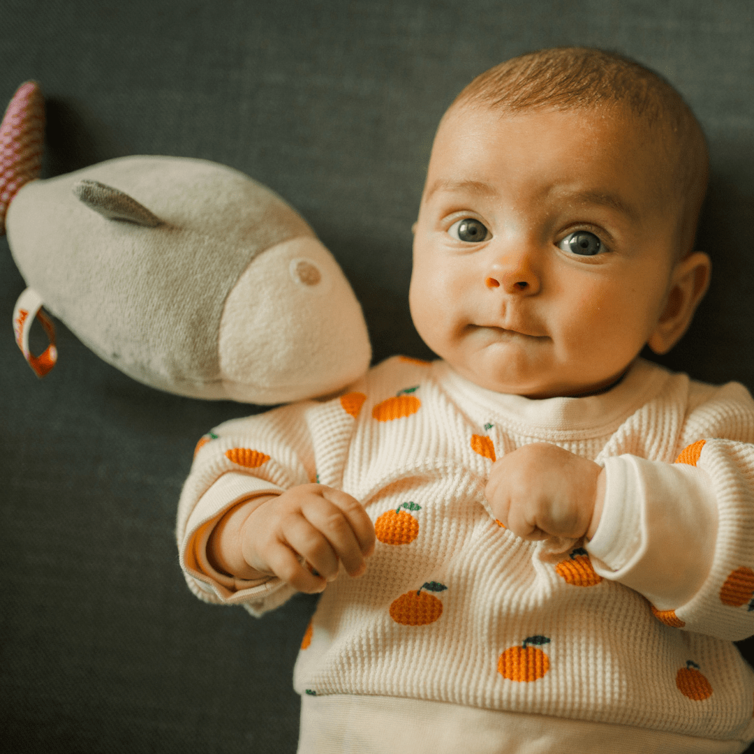 Laurette the fish stuffed animal - Beige with red gingham print – ADADA