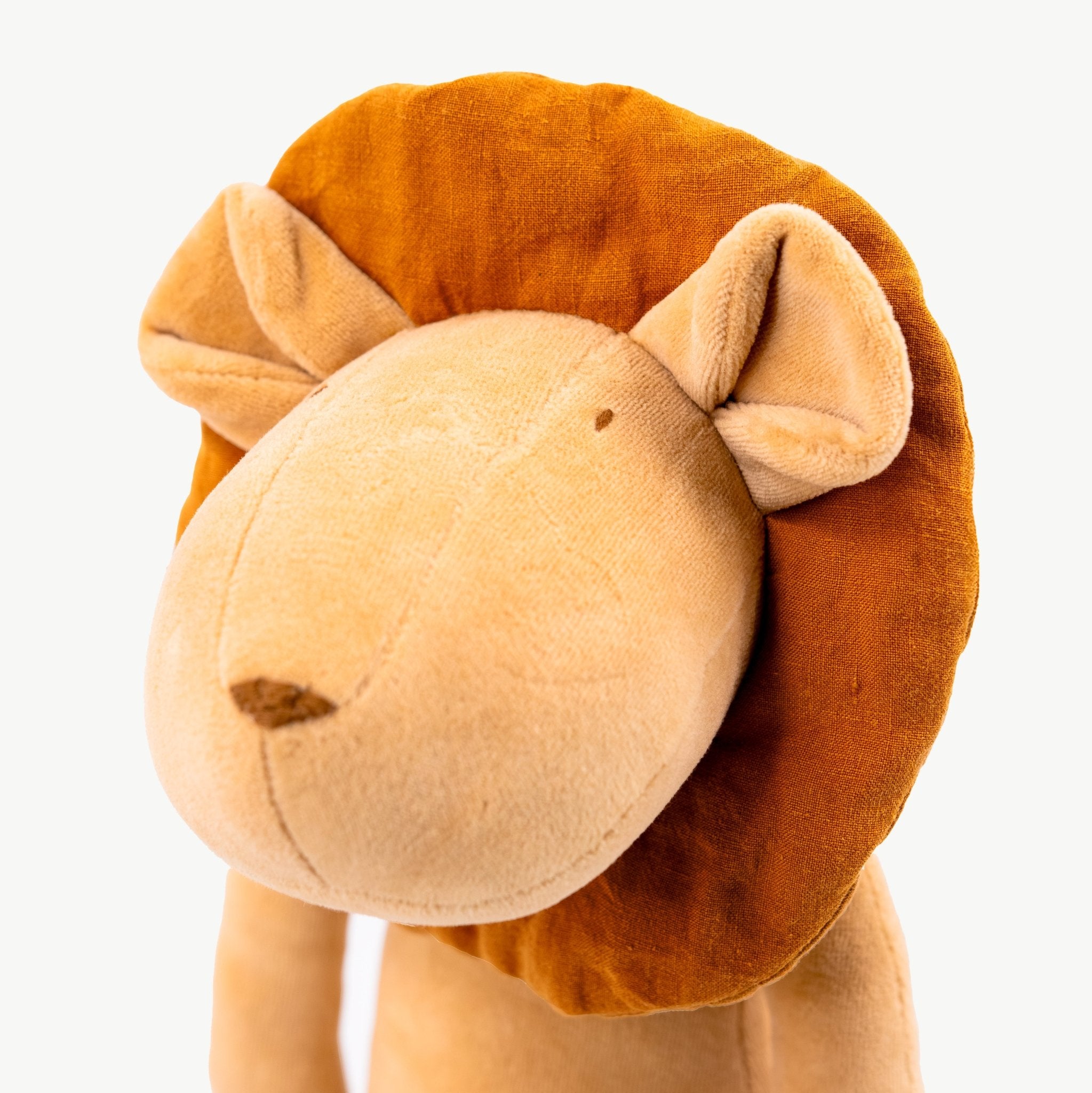 LOUIS, LE LION - L - ADADA