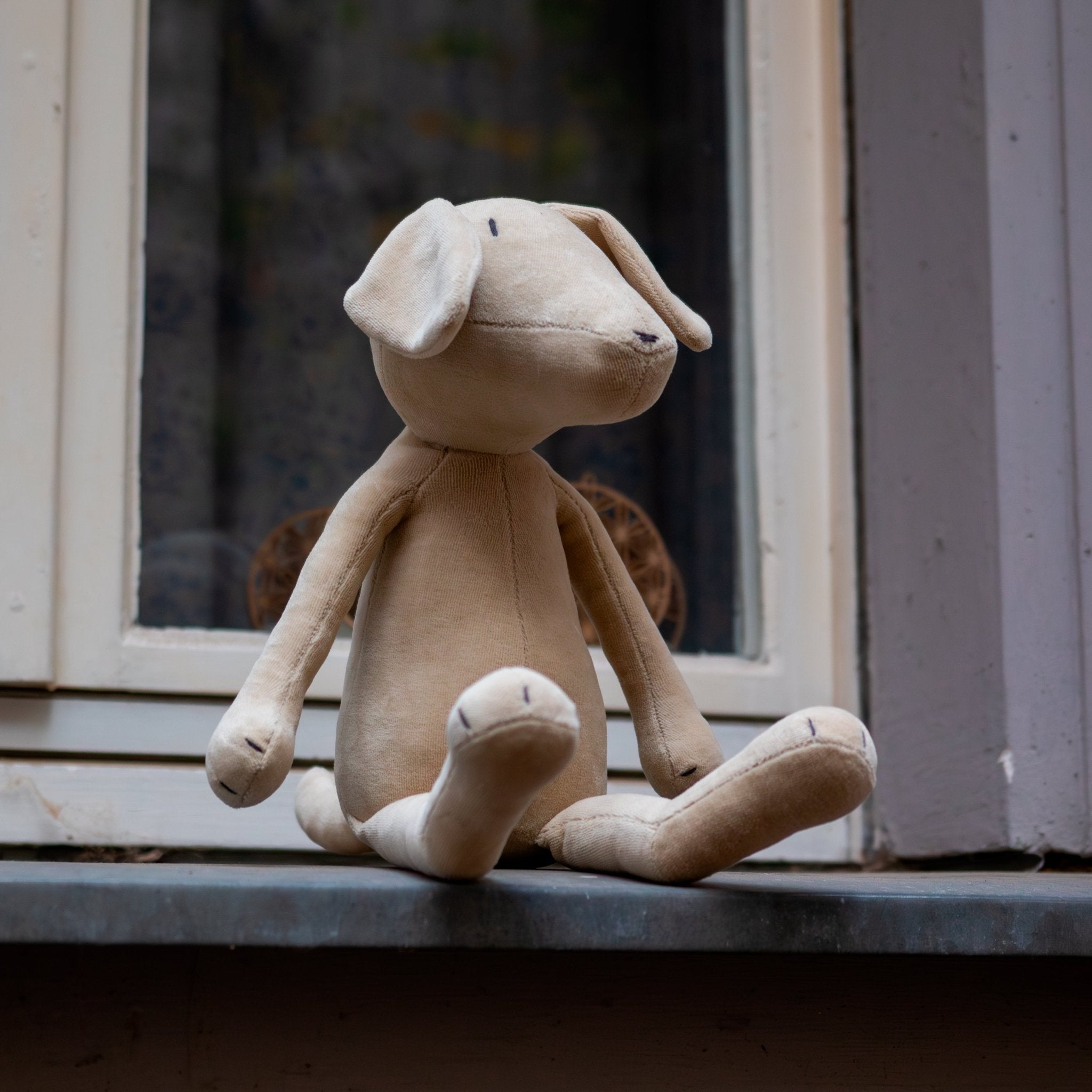 MAX LE LABRADOR - L - ADADA Beige Avec jean bleu